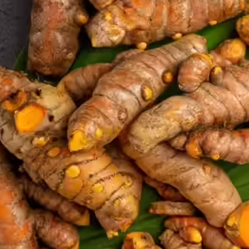 Turmeric commodity image