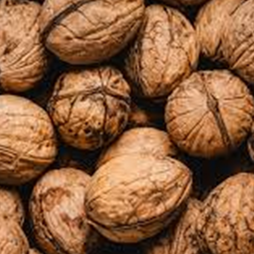 Walnut commodity image