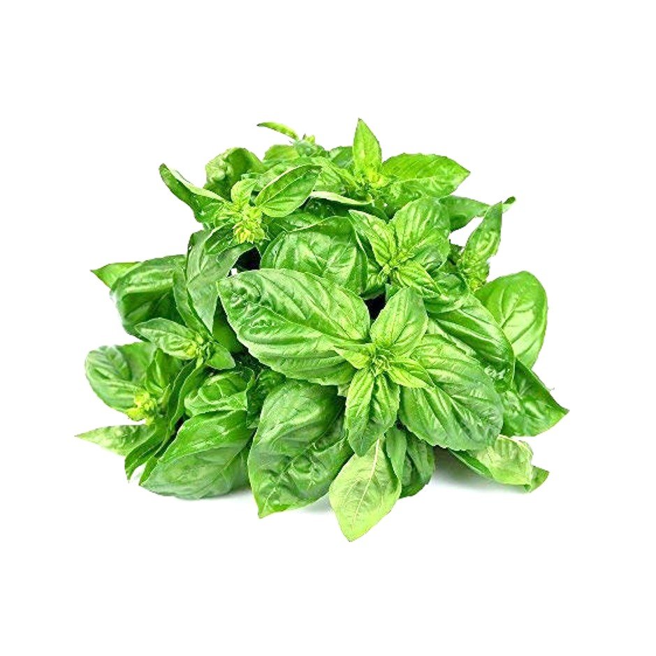 Basil commodity image