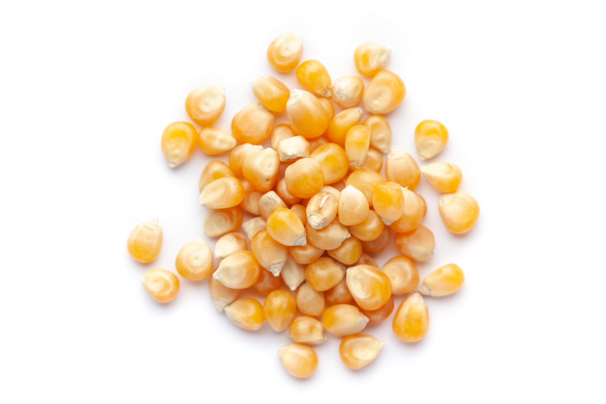 Maize commodity image