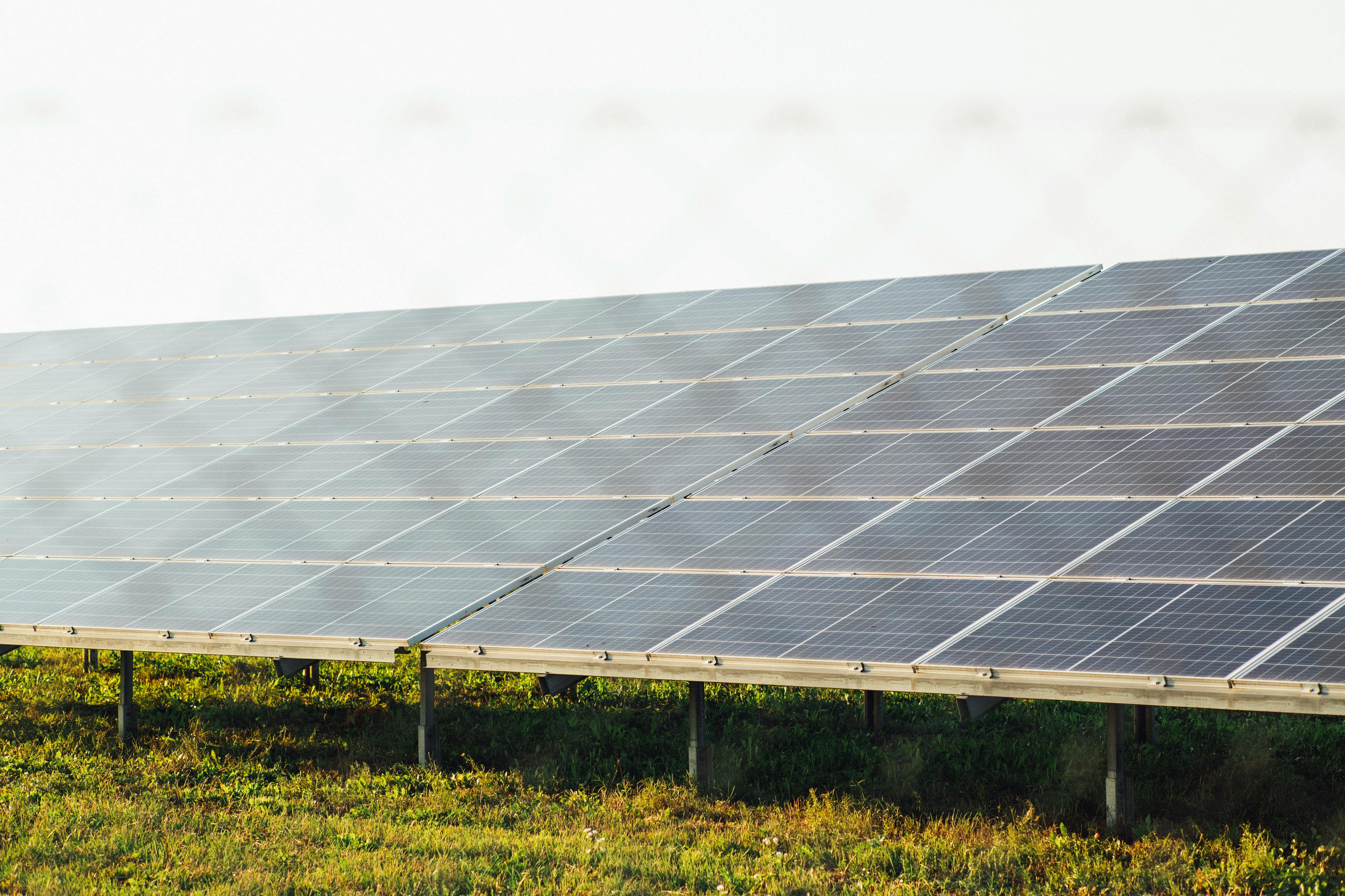 Installed solar at Harsh Chandra Flour Mill, Uttar Pradesh: 40 kW solar for food processing
